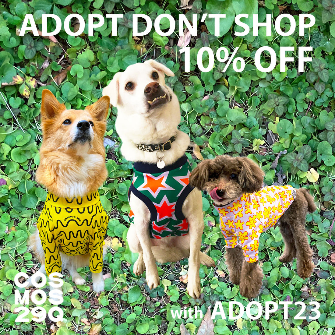 ADOPT DON'T SHOP: 10% OFF!