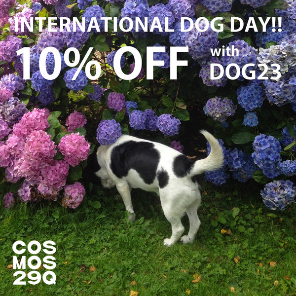 10% OFF! INTERNATIONAL DOG DAY!