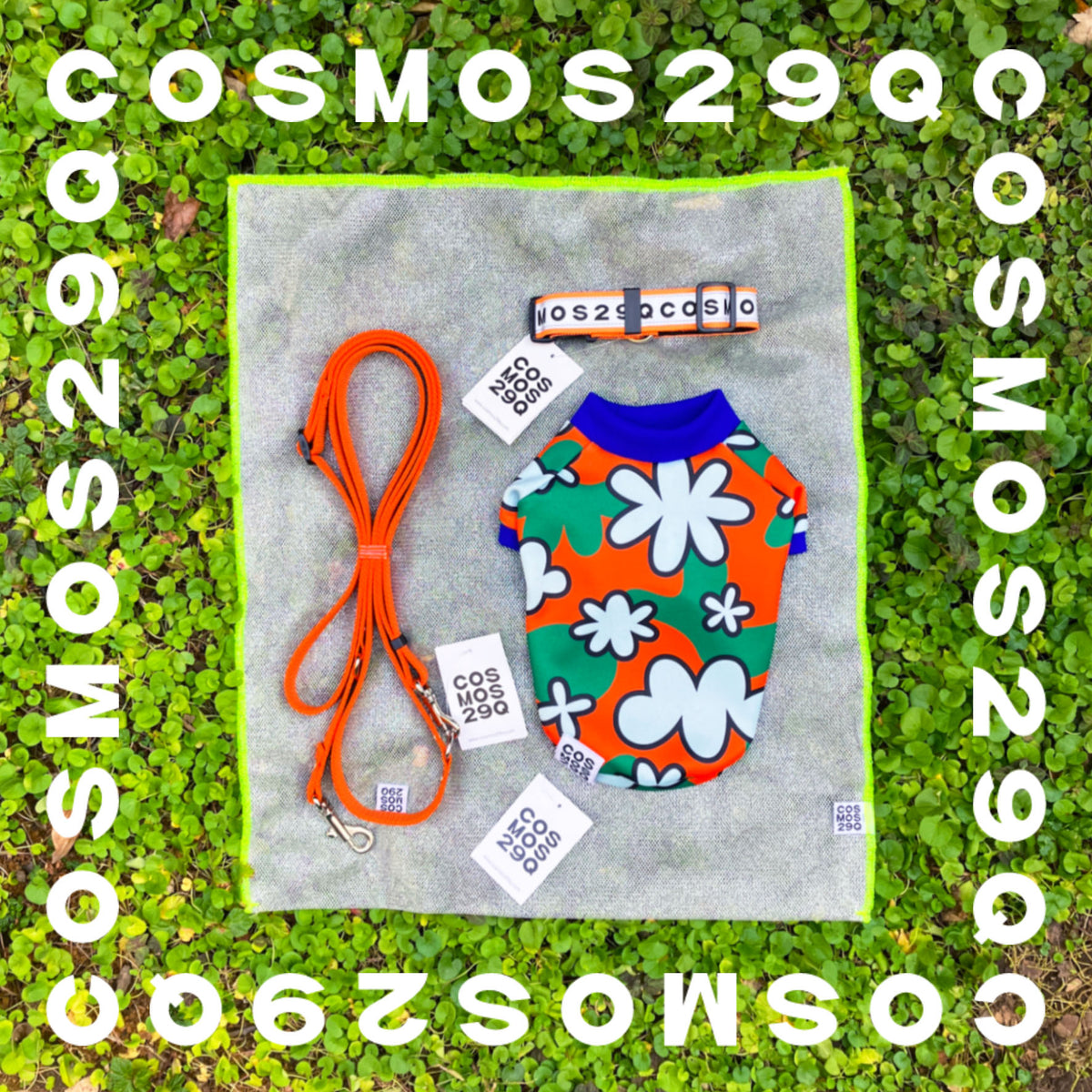 gift-bag-cosmos-29q