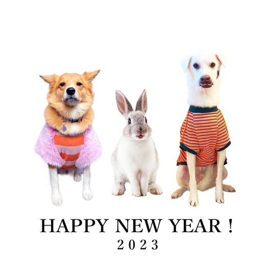 HAPPY NEW YEAR 2023