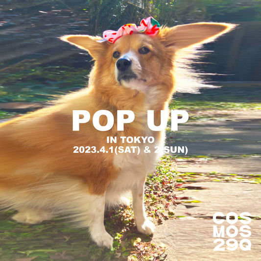 SPRING POP-UP 2023