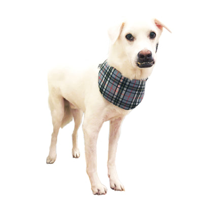 バンダナ STELLA - グレー