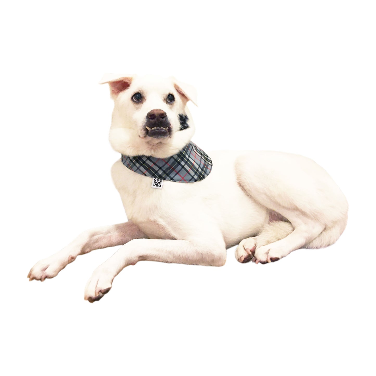 バンダナ STELLA - グレー