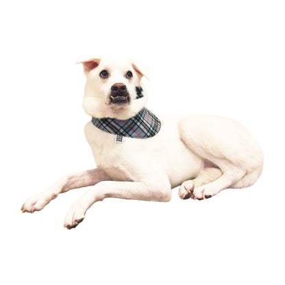 バンダナ STELLA - グレー