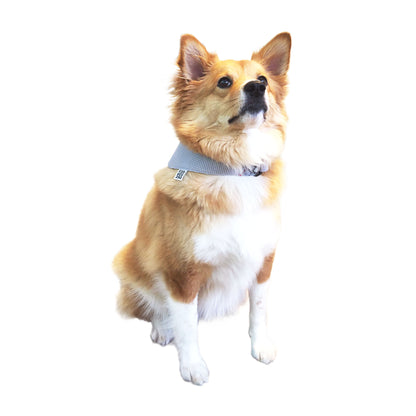 バンダナ STELLA - グレー