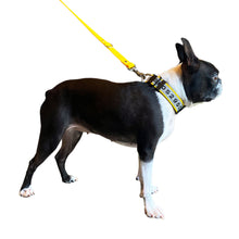 Load image into Gallery viewer, Collar LUNA - Yellow
