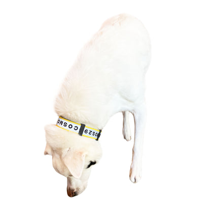 首輪 LUNA - イエロー