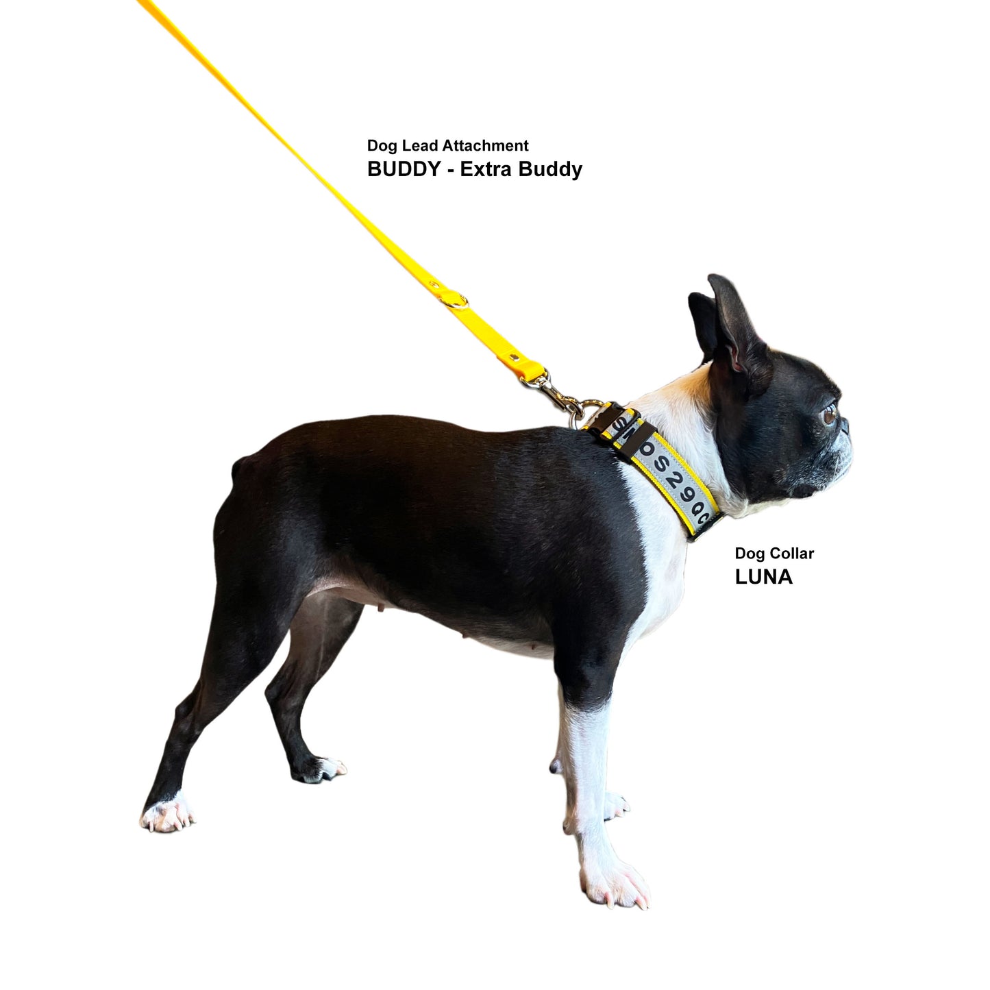 BUDDY Attachment - Extra Buddy