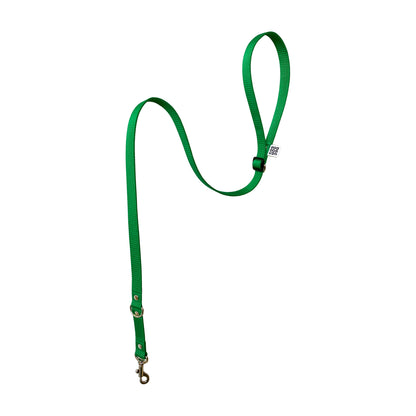 Dog Lead BUDDY - Classic - Green