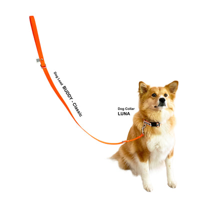 Lead BUDDY - Classic