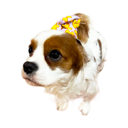 犬向けシュシュ BELLE - 'DREAMERS'