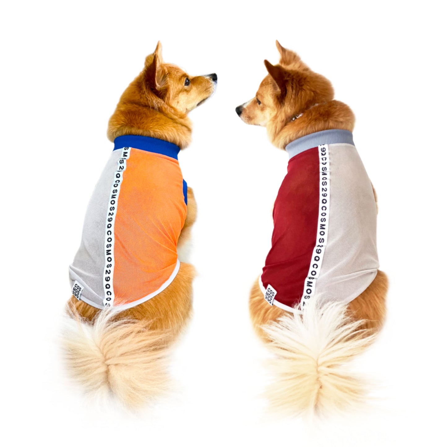 POLLUX - オレンジ