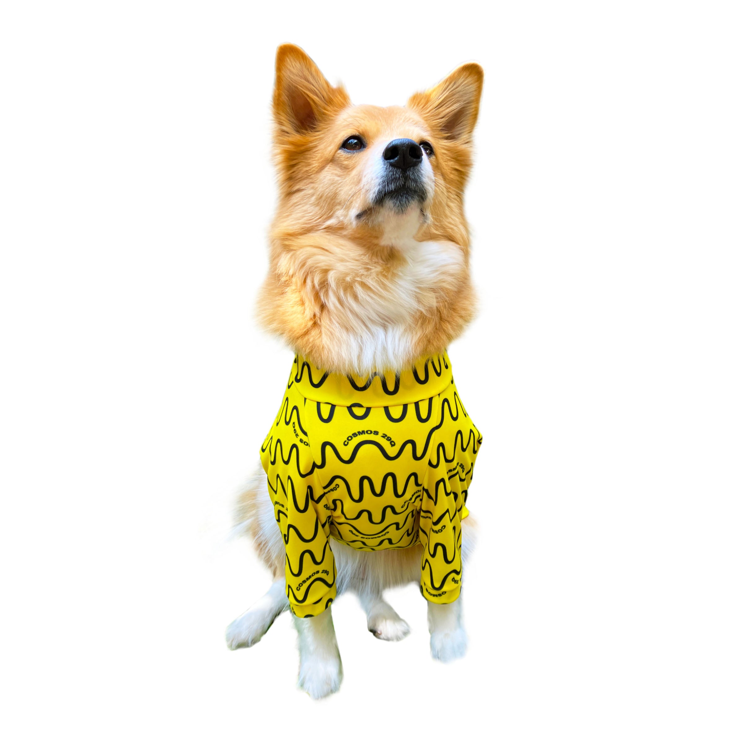 新品未使用❣️RUSSELL 100th 限定品Anniversary Bear RAY - 'SIGNALS' – COSMOS 29Q