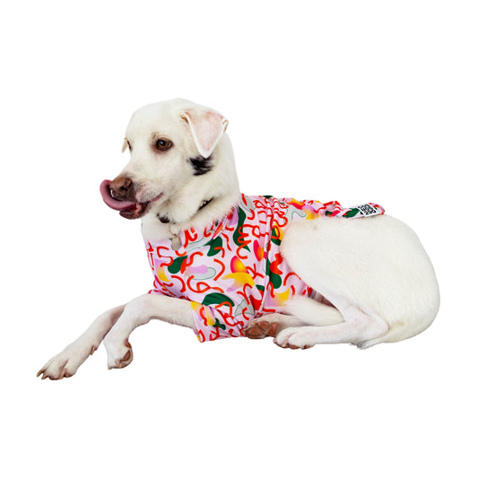 ALYA - 'WAN RUN SUN'