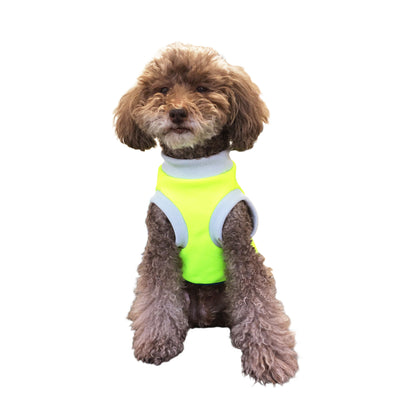 CAPELLA - ネオンイエロー