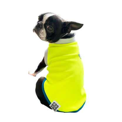 CAPELLA - ネオンイエロー