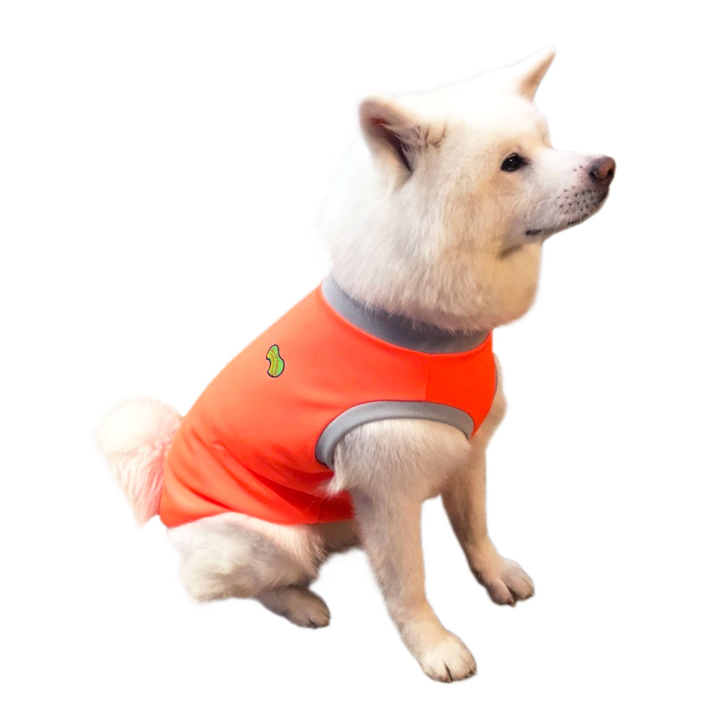 CAPELLA - ネオンオレンジ