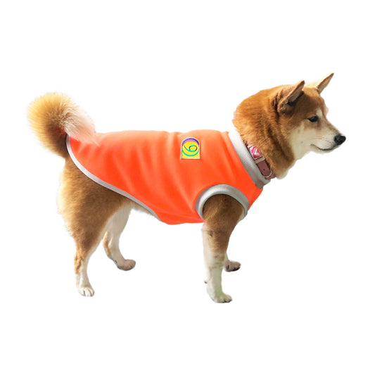 CAPELLA - ネオンオレンジ