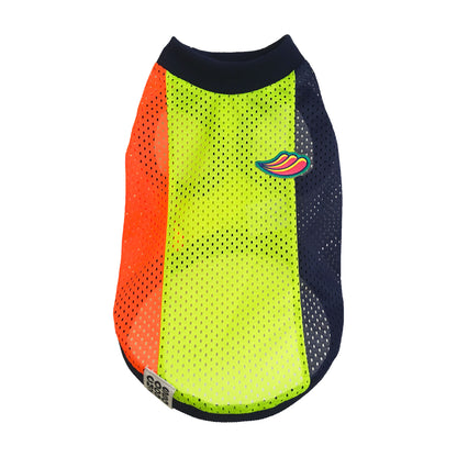 SOL - マルチカラー