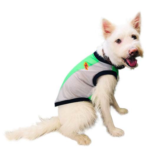 SOL - ネオングリーン